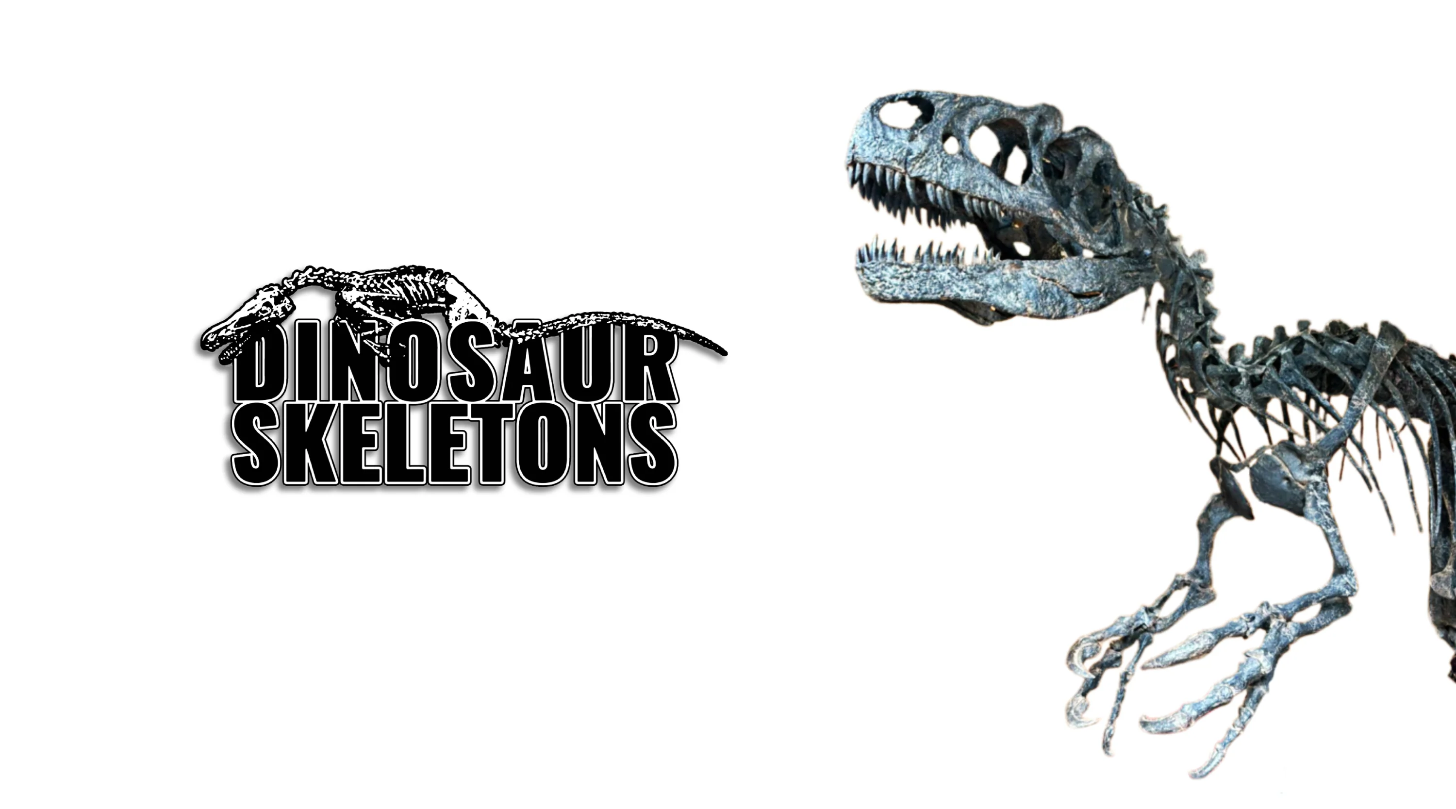 Own the Prehistoric Past