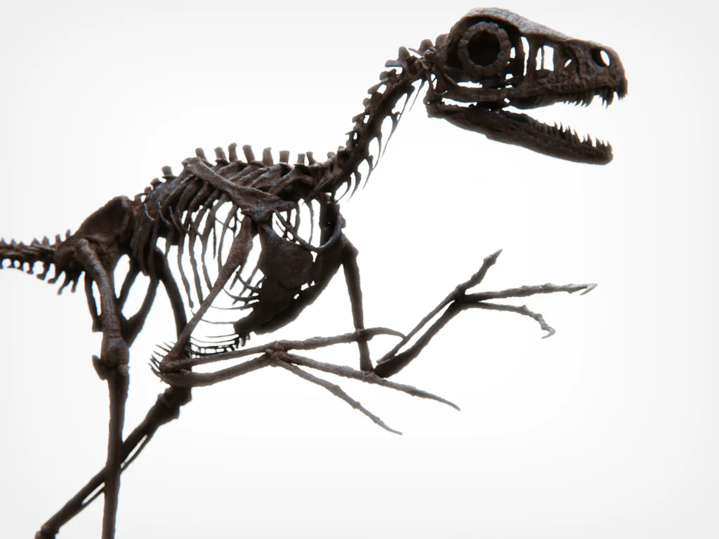 Skeletons